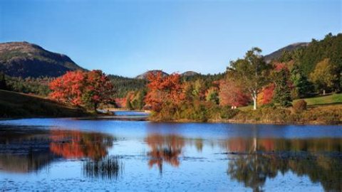 Best Fall Foliage Cruise Destinations