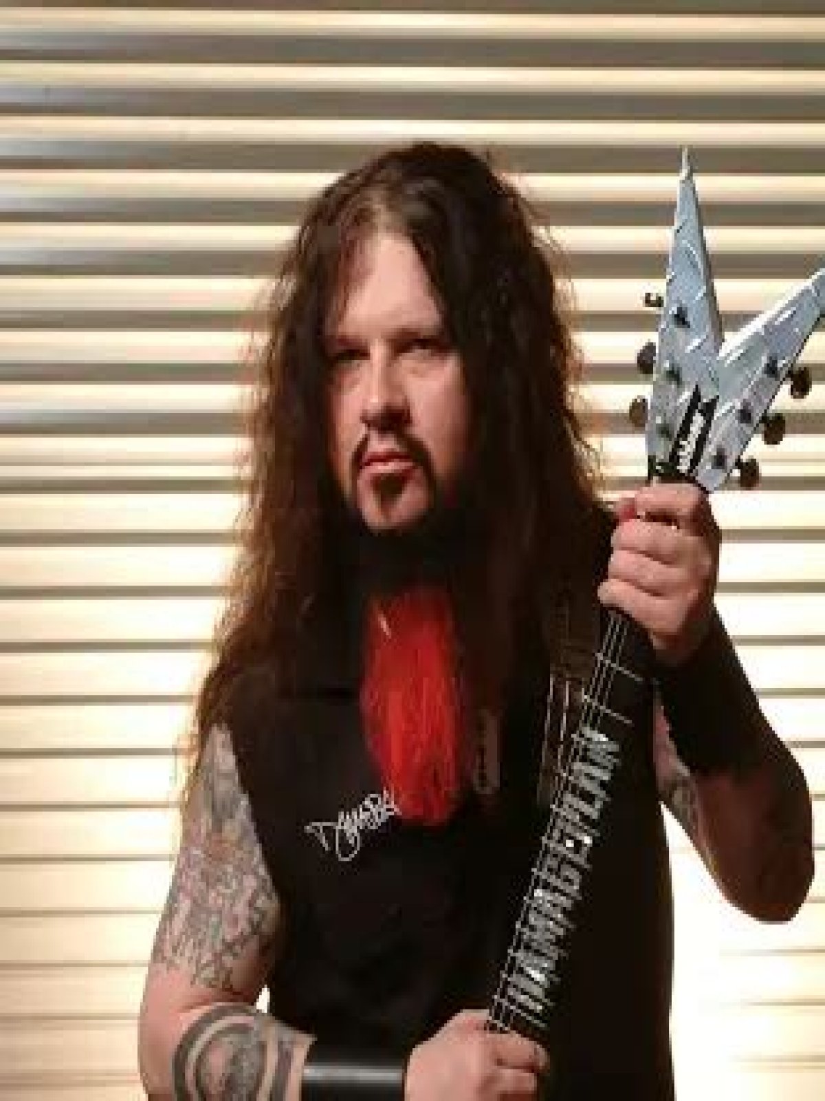 Dimebag Darrell Net Worth, Income, Salary, Earnings, Biography