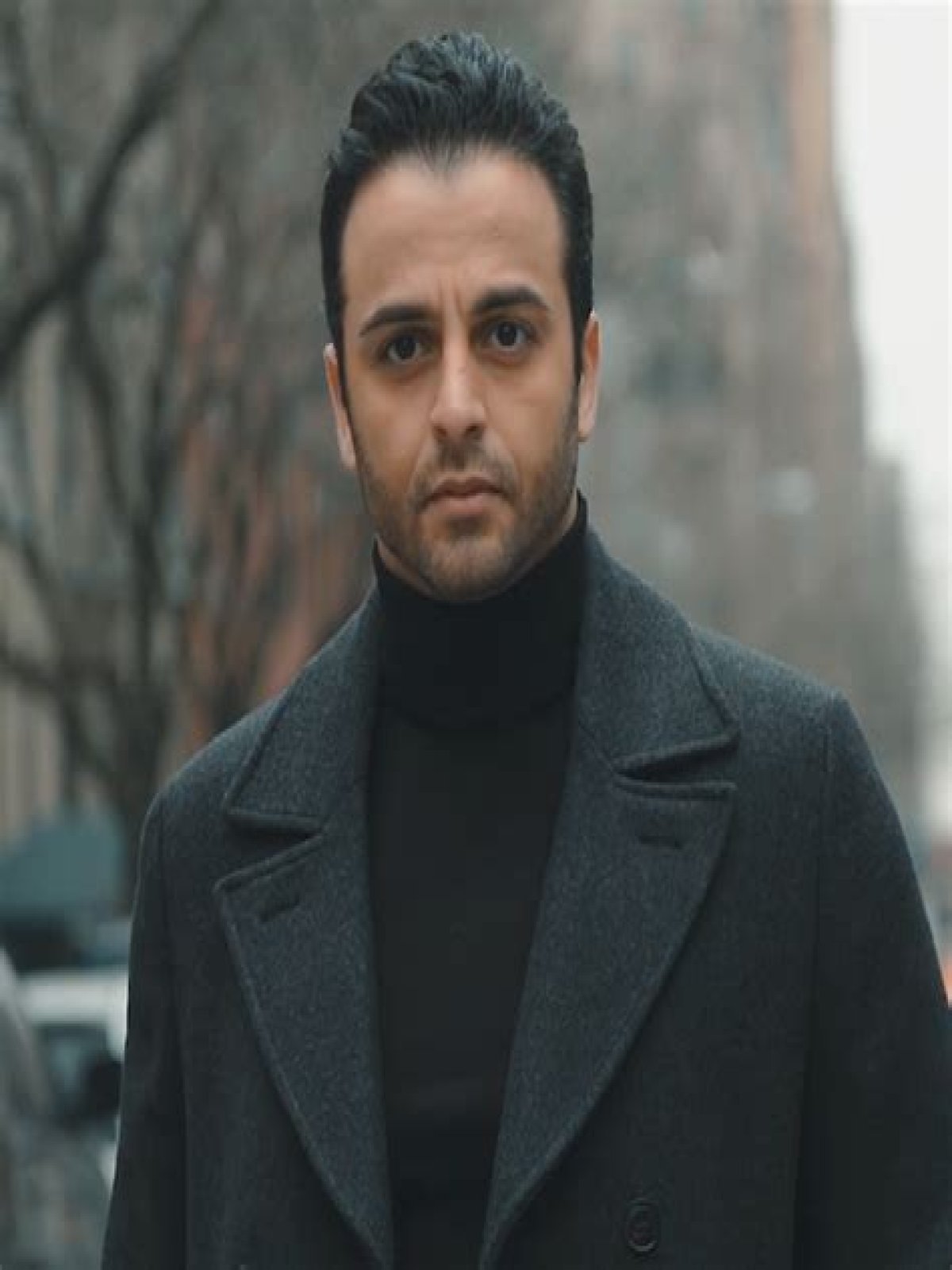The Ultimate Guide To Understanding Raha Etemadi
